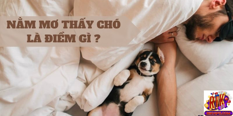 Sự may mắn và thành công