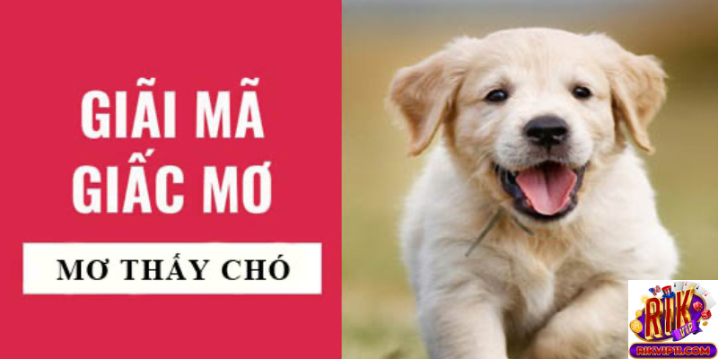 Giới thiệu về mơ thấy chó