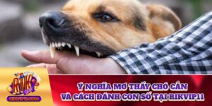 Ý nghĩa mơ thấy chó cắn và con số may mắn tại Rikvip